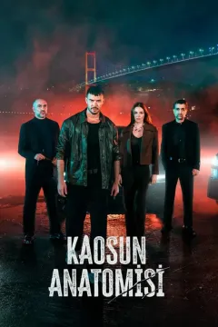 Анатомия хаоса